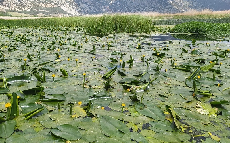 Işıklı Gölü