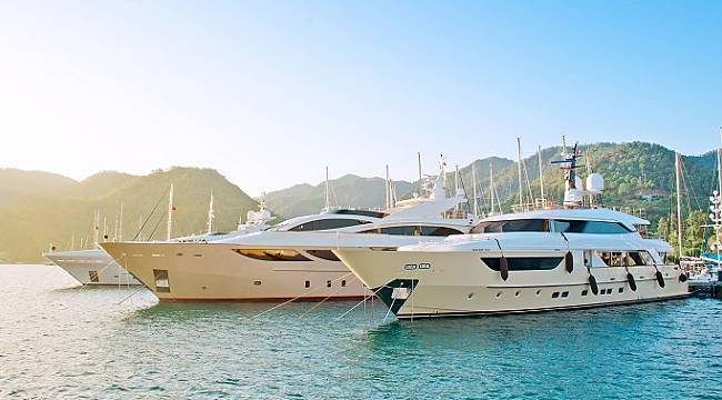 viravira.co, global pazarda liderliğe koşuyor